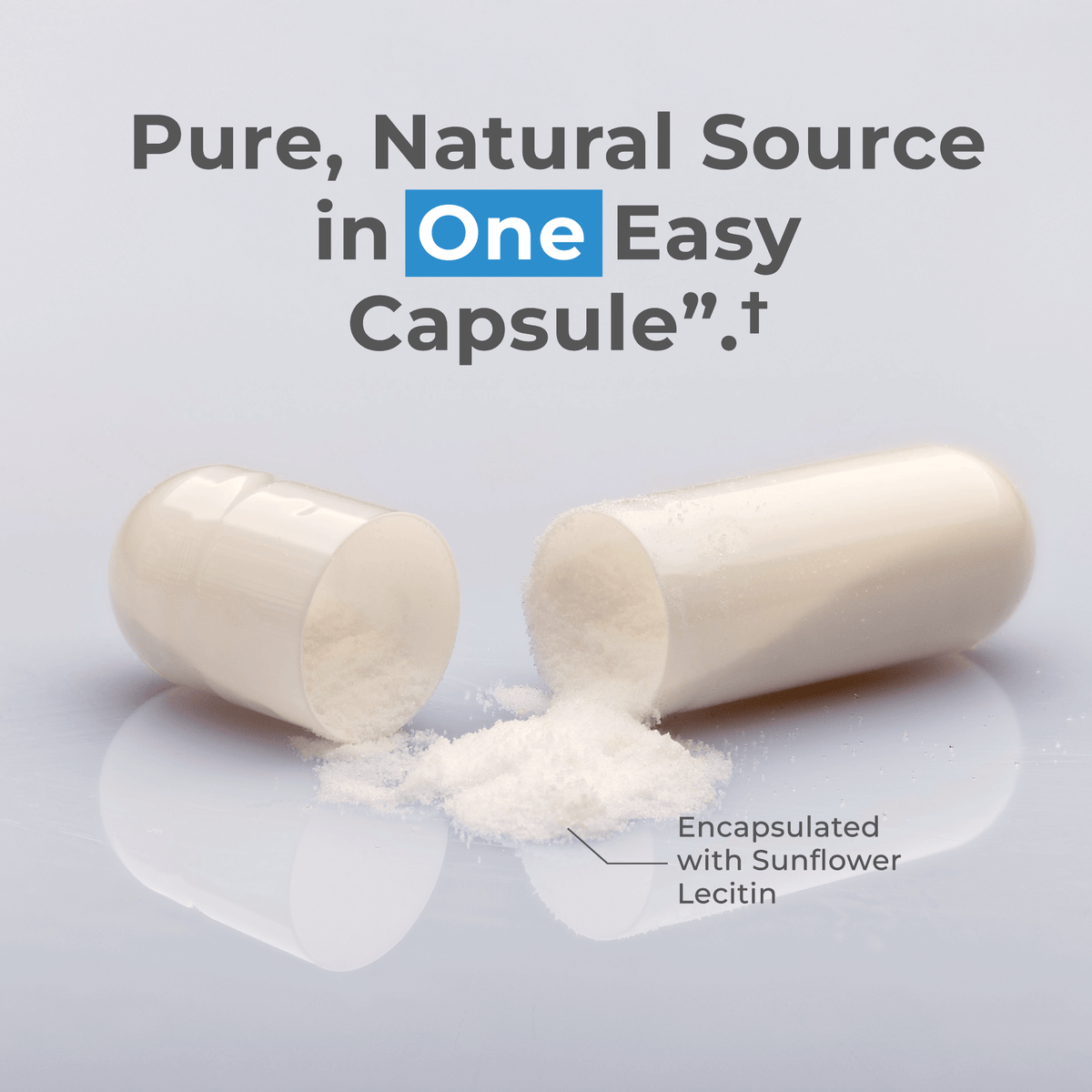 Liposomal spermidine capsules from Neurogan Health, dietary supplement bottle with capsules for health and wellness.