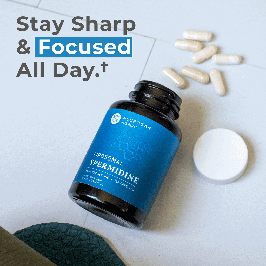Liposomal Spermidine capsules from Neurogan Health, dietary supplement for enhanced focus and cellular health.